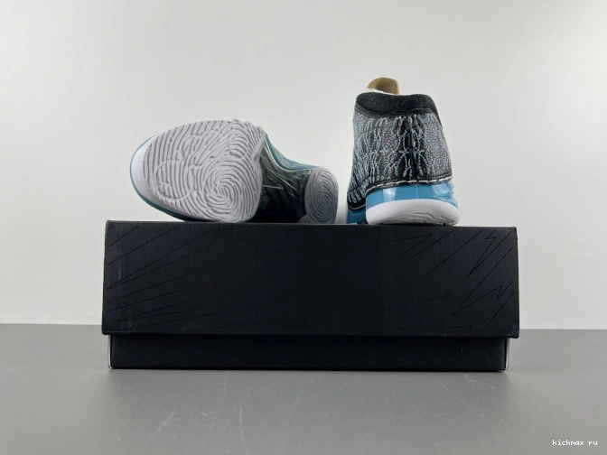 Rep MAX Jordan 23 318376-041 UNC 0807